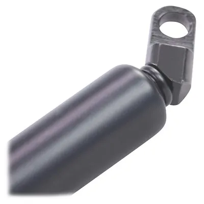 Bestprice Gasfeder, Koffer-/Laderaum Bmw: 5 31471674