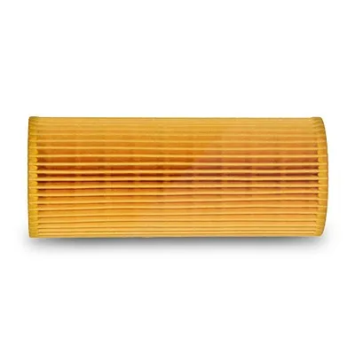 Bosch Ölfilter Bmw: X5, X3, 7, 6, 5 1457429252