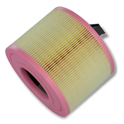 Mann Filter Luftfilter Bmw: X1, 3, 1 C18114