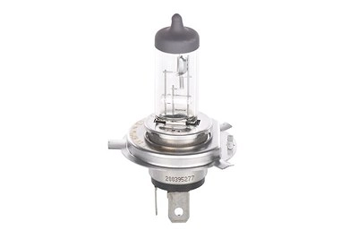 Bosch Glühlampe [Hersteller-Nr. 1987301054] für Abarth, Alfa Romeo, Audi, Autobianchi, BMW, Chevrolet, Chrysler, Citroën, Dacia, Daihatsu, Daimler, Do