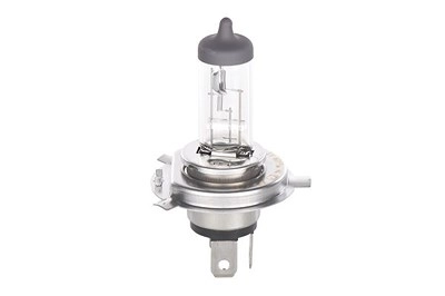 Bosch Glühlampe [Hersteller-Nr. 1987301054] für Abarth, Alfa Romeo, Audi, Autobianchi, BMW, Chevrolet, Chrysler, Citroën, Dacia, Daihatsu, Daimler, Do