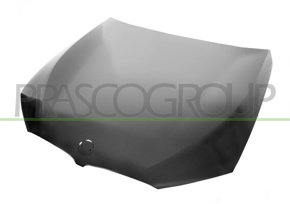 PRASCO Motorhaube  für BMW 41007440427 BM0523100